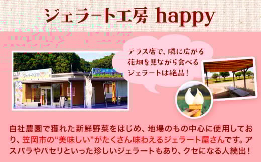 愛す家族 カップアイス 9個入り 笠岡ジェラート 工房ハッピーのカップアイス ハッピー＆甲和株式会社 ジェラート アイス ミルク たたらシャインマスカット 清水白桃 いちご アスパラガス プチトマト 瀬戸内バナナ マンゴー パセリ 岡山県 笠岡市