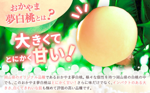【先行予約】 もも 白桃 岡山 おかやま夢白桃 約2kg 5~9玉 小寺農園《7月中旬-8月上旬頃出荷》岡山県産 岡山の桃 ブランド桃 甘い なめらか 旬 果物 フルーツ 先行予約