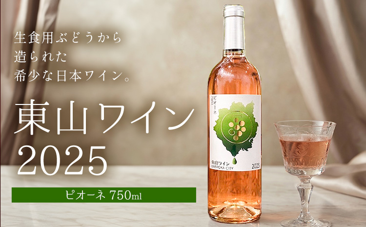 東山ワイン2025 750ml ピオーネ 東山農園《30日以内に出荷予定(土日祝除く)》 岡山県 笠岡市 ブドウ 葡萄 ギフト お取り寄せ 送料無料