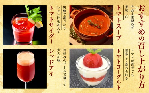 トマト ジュース トマトジュース トマピカル ネクター フルーツトマト 700ml 1本 株式会社ジェイ・イー・ティ・アグリ《30日以内に出荷予定(土日祝除く)》岡山県 笠岡市 送料無料 トマピカルネクター ソフトドリンク 野菜 野菜ジュース
