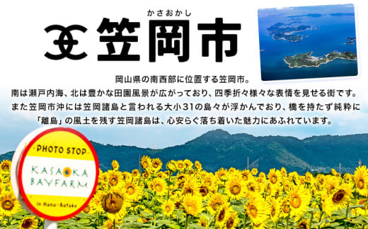 岡山県 笠岡市 応援寄附 1口 5000円【返礼品なし】 st-p