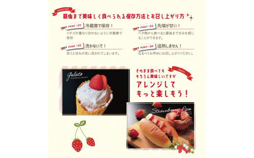 いちご　 しあわせ届けるいちご農園HappyComeComeのいちご4品種スペシャルセット《12月中旬-3月下旬頃出荷》