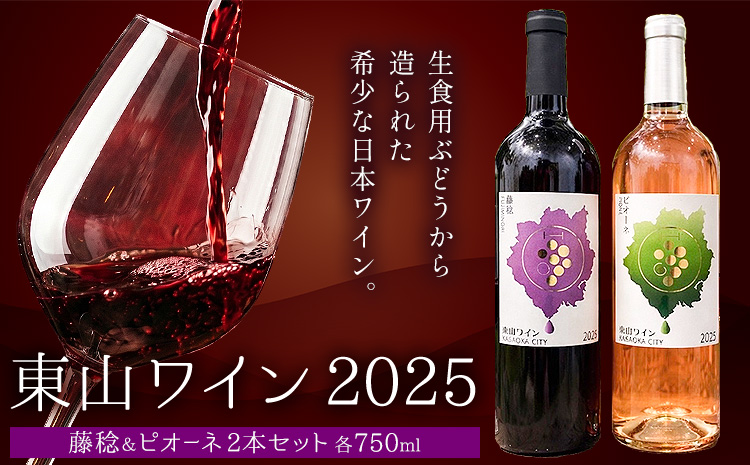 東山ワイン2025 750ml 藤稔 ピオーネ 2本セット 東山農園《30日以内に出荷予定(土日祝除く)》 岡山県 笠岡市 ブドウ 葡萄 ギフト お取り寄せ 送料無料