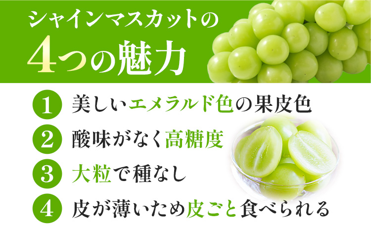 ãå
è¡äºçŽã岡山çç£ ã·ã£ã€ã³ãã¹ã«ãã 2æ¿ (480g以äž) æéäŒç€ŸããŒãã£ã«ã«ãã£ãŒç¥å³¶ã7æäžæ¬-8æäžæ¬é ã«åºè·äºå®(忥ç¥é€ã)ã 岡山ç ç¬ å²¡åž ãã¹ã«ãã ã¶ã©ã è¡è æç© ãã«ãŒããé
éäžå¯å°åããã