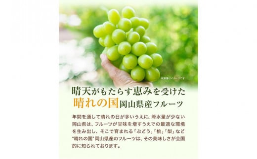 【2026年先行予約】桃・シャインマスカット詰め合わせ 約1kg クール便 冷蔵便 桃 もも 葡萄 ブドウ ぶどうシャインマスカット マスカット フルーツ セット 先行予約 晴れの国おかやま館 《2026年8月下旬‐9月中旬頃出荷》 フルーツ 果物 果実 岡山県 笠岡市