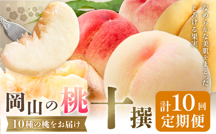 【2026年発送先行予約】桃 3ヶ月 計10回 定期便 岡山 の 桃 十撰 10種 各1kg 計10kg 晴れの国おかやま館(漂流岡山)《2026年7月中旬-9月下旬頃出荷》岡山県 笠岡市 桃 もも 果物 フルーツ デザート 送料無料 【配送不可地域あり】（離島）