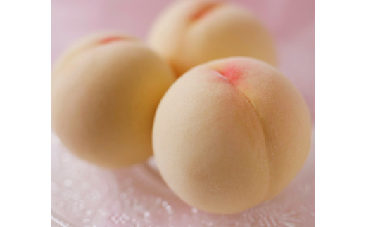 【2026年発送先行予約】清水白桃　約1.3kg 5玉　《2026年7月下旬-8月上旬頃出荷》