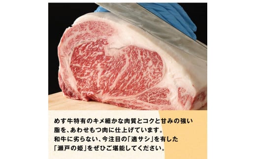 牛肉　B-07 瀬戸の姫（焼肉用）《45日以内に出荷予定(土日祝除く)》