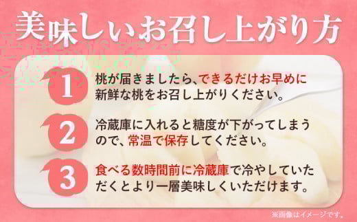 【先行予約】 もも 白桃 岡山 おかやま夢白桃 約2kg 5~9玉 小寺農園《7月中旬-8月上旬頃出荷》岡山県産 岡山の桃 ブランド桃 甘い なめらか 旬 果物 フルーツ 先行予約