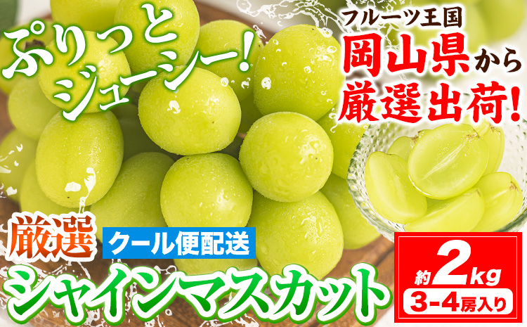 【2026年発送先行予約】シャインマスカット 約2kg (3-4房入) 《2026年9月上旬-11月中旬頃出荷》ぶどう ブドウ 葡萄 マスカット 果物 フルーツ ギフト 岡山県 笠岡市 フルーツ マスカット