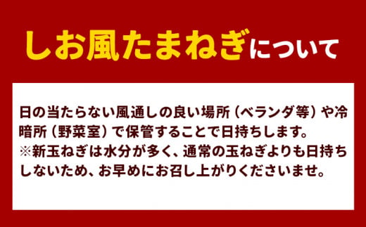 【先行予約】しお風新たまねぎ 約5kg《5月中旬-6月上旬頃出荷》 玉ねぎ たまねぎ 野菜 青果物 岡山県 笠岡市 玉ねぎ 10000円以下 10000円以内