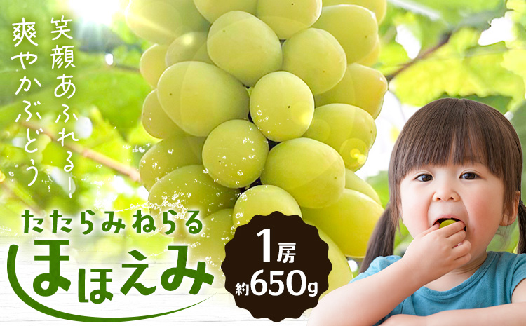 ãå
è¡äºçŽããããã¿ããã ã»ã»ãã¿ 1æ¿(çŽ650g) ïŒïŒ§ïŒãã£ã¹ããªãã¥ãŒã¿ãŒæ ªåŒäŒç€Ÿã2026幎8æäžæ¬-10æäžæ¬é åºè·ã岡山ç ç¬ å²¡åž æç© ãã«ãŒã ãã㊠ãåãå¯ããã«ãŒã ã·ã£ã€ã³ãã¹ã«ãã ã®äº€é
åçš®