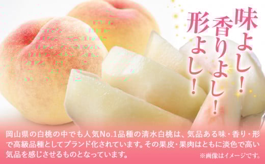 【2026年発送先行予約】清水白桃　約2kg 8玉《2025年7月下旬-8月上旬頃出荷》