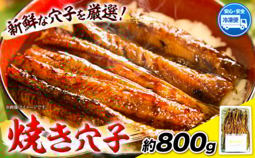 焼き穴子 約800g 笠岡魚市場《45日以内に出荷予定(土日祝除く)》岡山県 笠岡市 穴子 海鮮 魚 お魚