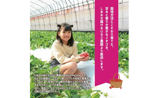 いちご　 しあわせ届けるいちご農園HappyComeComeの紅白いちご2品種食べ比べセット 400g以上《12月中旬-3月下旬頃出荷》