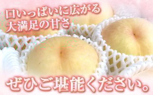 【先行予約】 もも 白桃 岡山 おかやま夢白桃 約2kg 5~9玉 小寺農園《7月中旬-8月上旬頃出荷》岡山県産 岡山の桃 ブランド桃 甘い なめらか 旬 果物 フルーツ 先行予約