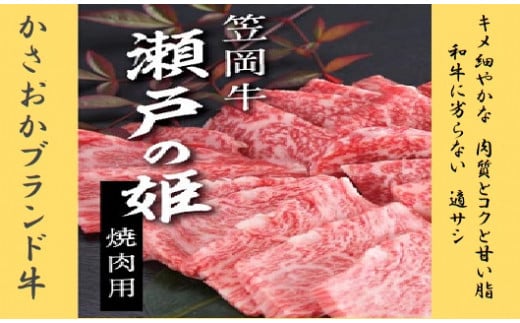 牛肉　B-07 瀬戸の姫（焼肉用）《45日以内に出荷予定(土日祝除く)》