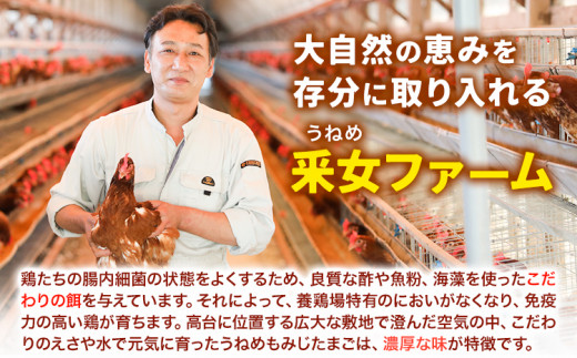 うねめもみじたまごとマヨネーズセット たまご約60個 マヨネーズ3本(250g/本) 采女ファーム 《45日以内に出荷予定(土日祝除く)》岡山県 笠岡市 たまご 卵 鶏卵 マヨネーズ セット TKG 送料無料