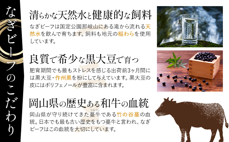 奈義和牛 カタ バイヤーおすすめ！ しゃぶしゃぶ用 500g 株式会社 天満屋《30日以内に出荷予定(土日祝除く)》岡山県 笠岡市 和牛 牛肉 肉 カタ しゃぶしゃぶ 送料無料