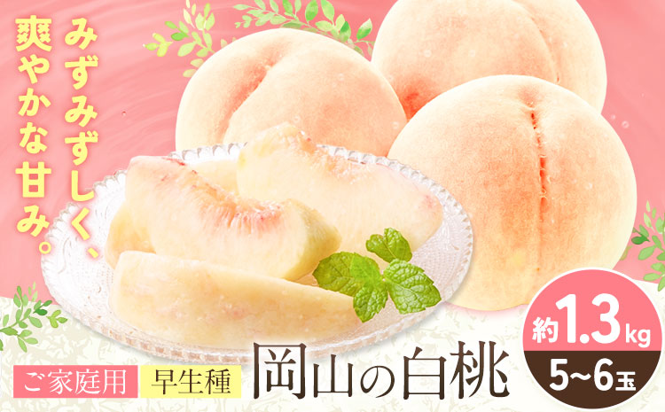 【2027年発送先行予約】ご家庭用 岡山の白桃（ 早生種 ）約 1.3kg 5～6玉 《2027年6月下旬-7月中旬頃出荷》 晴れの国おかやま館 (つむぐ株式会社) フルーツ 果物 果実 桃 白桃 岡山県 笠岡市【配送不可地域：離島】