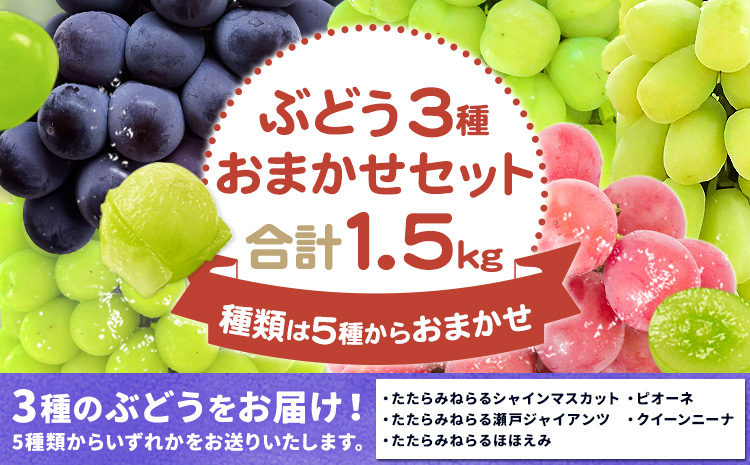 ã¶ã©ã3çš®é¡ããŸããã»ãã ãããã¿ãããã·ã£ã€ã³ãã¹ã«ãã ãããã¿ãããç¬æžãžã£ã€ã¢ã³ã ãããã¿ãããã»ã»ãã¿ ããªãŒã ã¯ã€ãŒã³ããŒã Y&Gãã£ã¹ããªãã¥ãŒã¿ãŒæ ªåŒäŒç€Ÿã9æäžæ¬-10æäžæ¬é åºè·ã 岡山ç ç¬ å²¡åž