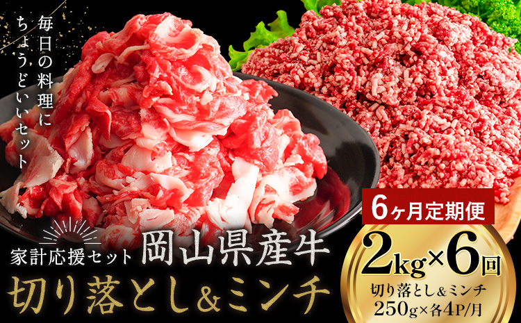 【6ヶ月定期便】牛肉 国産 切り落とし ミンチ セット 家計応援 岡山県産牛 2kg×6回 1パック250g《お申し込み月の翌月から出荷開始》岡山県 笠岡市 肉 ひき肉 グルメ お取り寄せグルメ