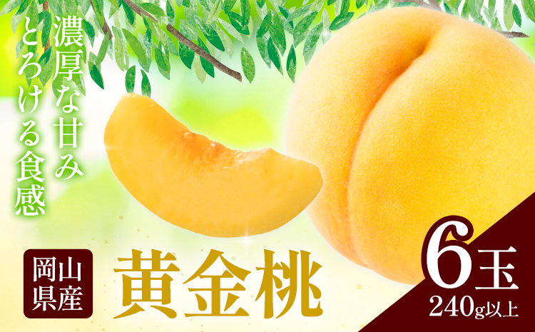 岡山県産 黄金桃 6玉(240g以上) 有限会社ホーティカルチャー神島《9月上旬-9月下旬頃出荷》 岡山 白桃 岡山県 笠岡市 黄桃 桃 モモ 果物 スイーツ フルーツ デザート
