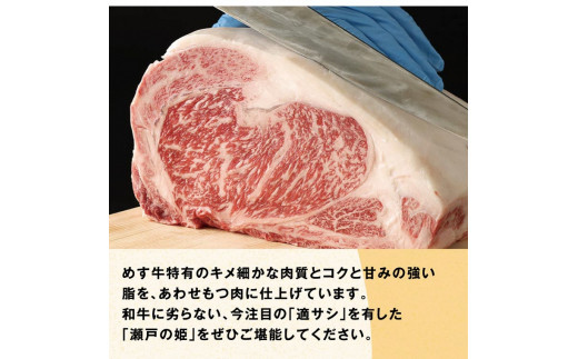 牛肉　B-08 瀬戸の姫（スライス）《45日以内に出荷予定(土日祝除く)》