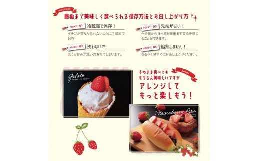 いちご　 しあわせ届けるいちご農園HappyComeComeの紅白いちご2品種食べ比べセット 400g以上《12月中旬-3月下旬頃出荷》