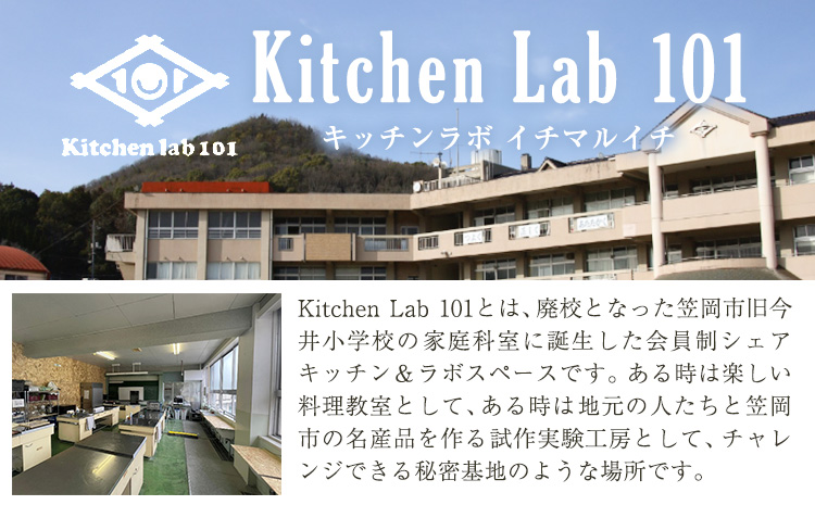 瀬戸内 レモンチキンカレー 250g×5パック キッチンラボ101《30日以内に出荷(土日祝除く)》岡山県 笠岡市 カレー チキンカレー レモン 檸檬