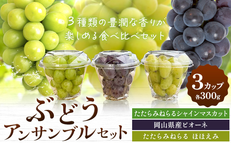 【先行予約】ぶどう 食べ比べ たたらみねらる シャインマスカット ほほえみ ピオーネ ぶどうアンサンブルセット 3カップ 各300g Ｙ＆Ｇ．ディストリビューター株式会社《2026年8月中旬-10月上旬頃出荷》岡山県 笠岡市 果物 フルーツ ブドウ お取り寄せ