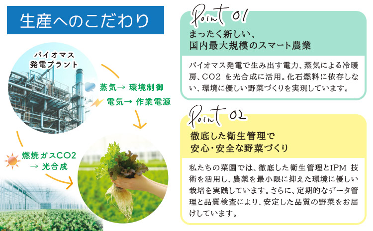 繧オ繝ゥ繝医Μ繧ェ 12蛟九そ繝繝 驥手除 繝ャ繧ソ繧ケ 3遞ョ縺ョ繝ャ繧ソ繧ケ 繧ー繝ェ繝シ繝ウ繧ェ繝シ繧ッ 繝ャ繝繝峨が繝シ繧ッ 繧ー繝ェ繝シ繝ウ繧ッ繝ェ繧ケ繝斐シ 縲30譌・莉・蜀縺ォ蜃コ闕キ莠亥ョ(蝨滓律逾昴r髯、縺)縲 JA譎エ繧後ョ蝗ス蟯。螻ア 隨蟯。繧「繧ー繝ェ繧サ繝ウ繧ソ繝シ 驥手除 蟯。螻ア逵 隨蟯。蟶