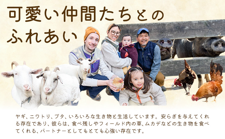 å®¿æ³ èŸ²å®¶æ°å®¿3091 宿æ³äœéš 1æ³2é£ ã30æ¥ä»¥å
ã«åºè·äºå®(忥ç¥ãé€ã)ãLife3091 岡山ç ç¬ å²¡åž äœéš æ°å®¿ 倿°å®¶ ãã¯ã èªç¶ åç© ãµããã ãŽã£ãŒã¬ã³