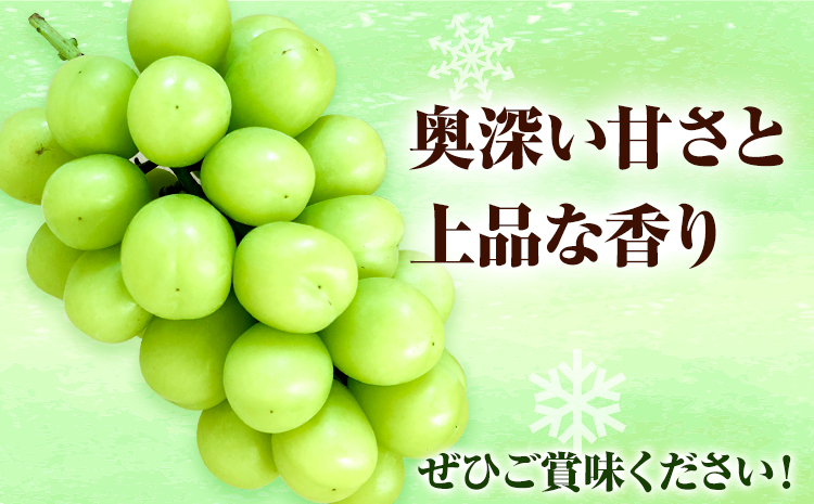 【2026年発送先行予約】冷蔵シャインマスカット H-28b 岡山県産 (1房540g以上2房入り) 《2026年11月下旬-12月中旬頃出荷》【配送不可地域あり】