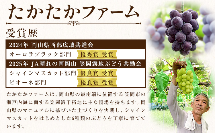 縺カ縺ゥ縺 繧キ繝」繧、繝ウ繝槭せ繧ォ繝繝 繝槭せ繧ォ繝繝 2謌ソ 1kg 縲9譛井ク頑流-9譛井ク区流鬆蜃コ闕キ縲 縺溘°縺溘°繝輔ぃ繝シ繝 繝悶ラ繧ヲ 闡。關 繝槭せ繧ォ繝繝 譫懃黄 繝輔Ν繝シ繝 繧ョ繝輔ヨ 蟯。螻ア逵 隨蟯。蟶