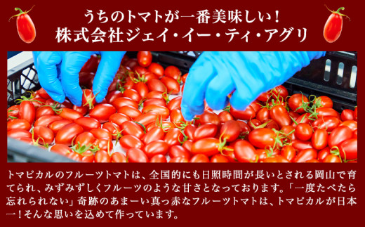 トマト ジュース トマトジュース トマピカル ネクター フルーツトマト 700ml 1本 株式会社ジェイ・イー・ティ・アグリ《30日以内に出荷予定(土日祝除く)》岡山県 笠岡市 送料無料 トマピカルネクター ソフトドリンク 野菜 野菜ジュース