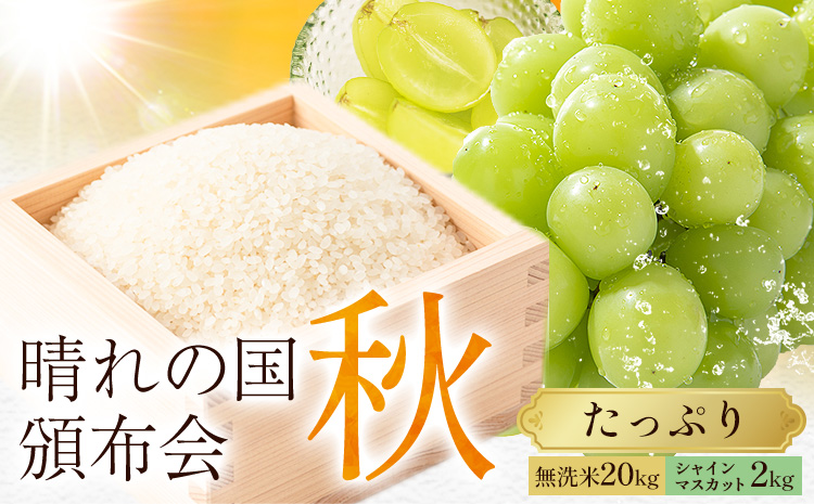晴れの国頒布会 秋 たっぷり 無洗米 20kg シャインマスカット 2kg[ページ内記載の時期に発送]岡山県 笠岡市 フルーツ 旬 果物 葡萄 ぶどう コメ お取り寄せ