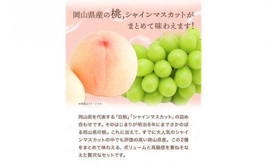 【2026年先行予約】桃・シャインマスカット詰め合わせ 約1kg クール便 冷蔵便 桃 もも 葡萄 ブドウ ぶどうシャインマスカット マスカット フルーツ セット 先行予約 晴れの国おかやま館 《2026年8月下旬‐9月中旬頃出荷》 フルーツ 果物 果実 岡山県 笠岡市