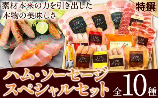 特選 ハム ソーセージ スペシャルセット 10種 社会福祉法人敬業会ヴィレッジ興産 ときわヴィレッジ《45日以内に出荷予定(土日祝除く)》岡山県 笠岡市 肉 豚肉 ロースハム スモークチキン あらびきポーク にんじん ドレッシング ギフト