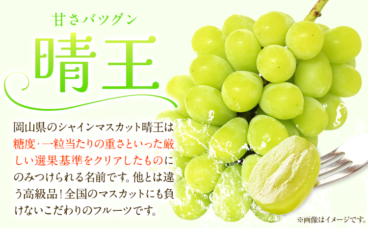 ãå
è¡äºçŽãå²¡å±±çœæ¡ & ã·ã£ã€ã³ãã¹ã«ããïŒæŽçïŒå²¡å±±çœæ¡2çïŒãã€ã€ã«220g以äžïŒã·ã£ã€ã³ãã¹ã«ãã1æ¿ïŒ380g以äžïŒæéäŒç€ŸããŒãã£ã«ã«ãã£ãŒç¥å³¶ã7æäžæ¬-8æäžæ¬é åºè·ã岡山ç ç¬ å²¡åž æ¡ çœæ¡ ãã å²¡å±±çœæ¡ ã·ã£ã€ã³ãã¹ã«ãã ãã¹ã«ãã ã¶ã©ã æŽçãé
éäžå¯å°åããã