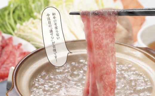 牛肉　A-10 瀬戸の姫（スライス）《45日以内に出荷予定(土日祝除く)》