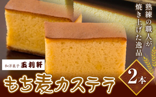 もち麦カステラ 株式会社玉利軒《30日以内に出荷予定(土日祝除く)》岡山県 笠岡市 カステラ もち麦 お土産 和菓子 手土産 送料無料 冷蔵配送 st-p