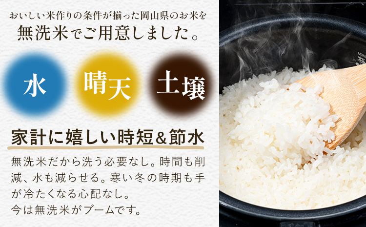 無洗米 米 使い切り パック メール便 1合 (150g) 晴れの国おかやま無洗米《30日以内に出荷予定(土日祝除く)》岡山県 笠岡市 送料無料 岡山県産 米 ふるさと納税 わけあり 以上のお米ならこれ お米 おこめ 岡山 むせんまい kome
