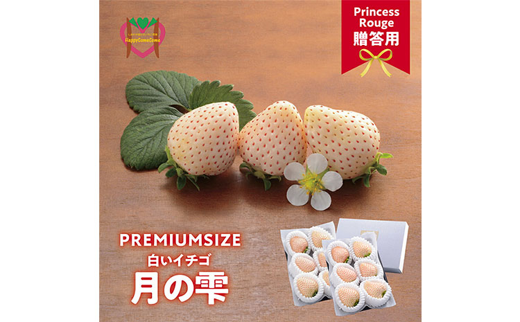 いちご　しあわせ届けるいちご農園HappyComeComeの贈答用 白いちごー月のしずくーPREMIUM SIZE《12月中旬-3月下旬頃出荷》