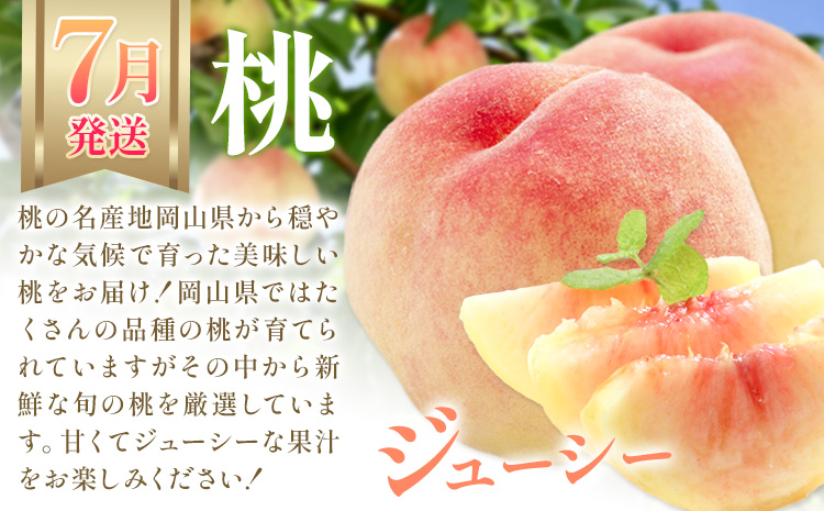 【2026年発送先行予約】ぶどう 桃 梨 3ヶ月 定期便 岡山 の 果物 3種 食べ比べ 計4.1kg 晴れの国おかやま館(漂流岡山)《2026年7月上旬-11月下旬頃出荷》岡山県 笠岡市 桃 もも マスカット シャインマスカット 梨 あたご梨 果物【配送不可地域あり】（離島）