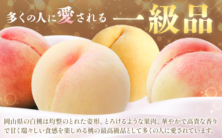 ã2026幎çºéå
è¡äºçŽãæ¡ 5ã¶æ èš20å å®æäŸ¿ 岡山 ã® æ¡ æ¢æ±ã®æ
20çš® å1kg èš20kg æŽãã®åœããããŸé€š(æŒæµå²¡å±±)ã2026幎7æäžæ¬-12æäžæ¬é åºè·ã岡山ç ç¬ å²¡åž æ¡ ãã æç© ãã«ãŒã ãã¶ãŒã éæç¡æ ãé
éäžå¯å°åãããïŒé¢å³¶ïŒ