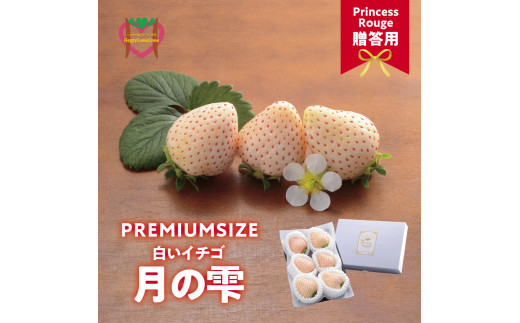 いちご　しあわせ届けるいちご農園HappyComeComeの贈答用 白いちごー月のしずくーPREMIUM SIZE《12月中旬-3月下旬頃出荷》