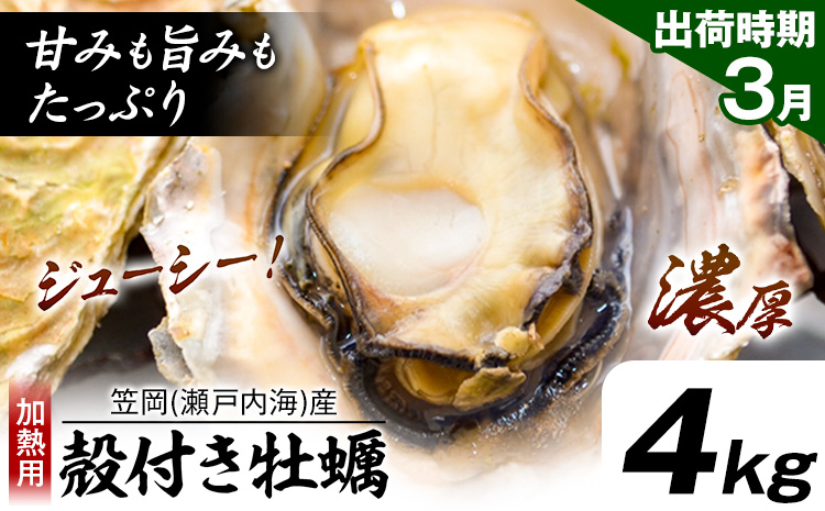 牡蠣事業者応援！ 笠岡産 (瀬戸内海産) 殻付き牡蠣 (加熱用) 4kg《3月上旬-3月末頃出荷》岡山県 笠岡市 かき カキ 牡蠣 生牡蠣 瀬戸内海産 殻付き