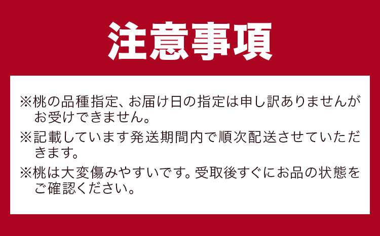 【2回定期便】桃 岡山の桃定期便 2回ｺｰｽ 岡山県産 岡山白桃 黄金桃 株式会社山博《2026年7月上旬-9月末頃出荷》岡山県 笠岡市 フルーツ 果物 白桃 もも お取り寄せ【配送不可地域あり】