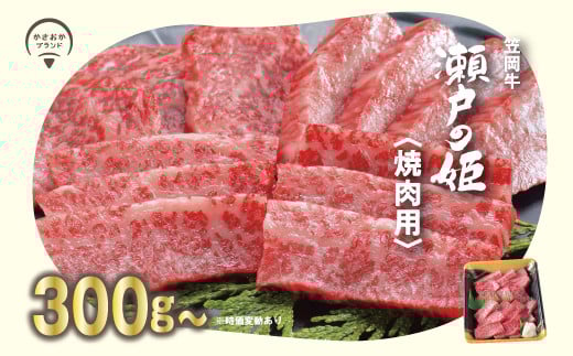 牛肉　A-09 瀬戸の姫（焼肉用）《45日以内に出荷予定(土日祝除く)》